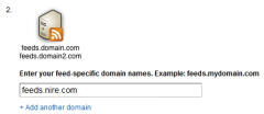 FeedBurner: My Brand: Enter your feed-specific domain names.