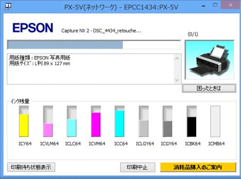 PX-5V: インク残量: ヘッドクリーニング前