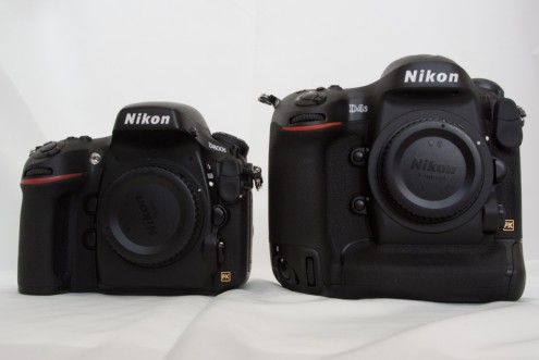Nikon D800E vs. Nikon D4S:  正面