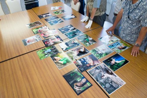 全東京写真連盟 公開審査: 2016年8月: 飛鳥山公園分